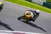 cadwell-no-limits-trackday;cadwell-park;cadwell-park-photographs;cadwell-trackday-photographs;enduro-digital-images;event-digital-images;eventdigitalimages;no-limits-trackdays;peter-wileman-photography;racing-digital-images;trackday-digital-images;trackday-photos